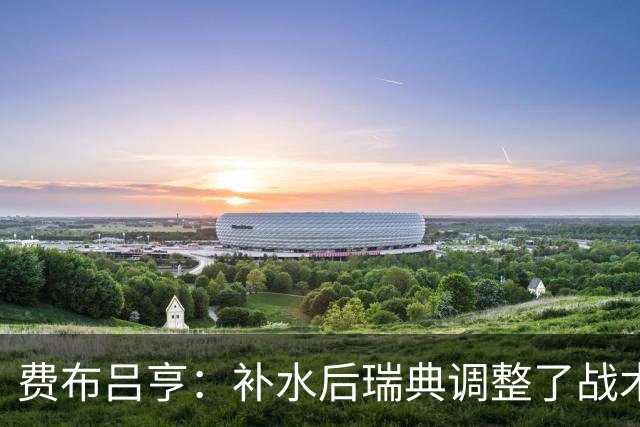 费布吕亨：补水后瑞典调整了战术，费布吕亨做出几次关键扑救